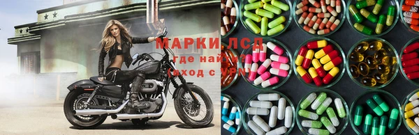 ПСИЛОЦИБИНОВЫЕ ГРИБЫ Беломорск