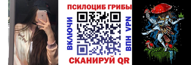 Галлюциногенные грибы Cubensis  закладка  Сегежа 
