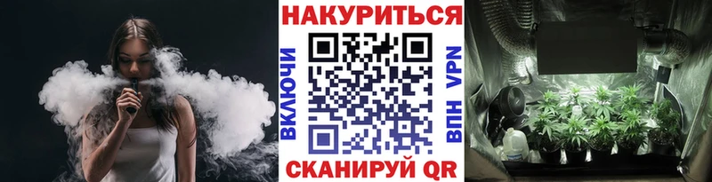 сколько стоит  KRAKEN зеркало  Бошки марихуана планчик  Сегежа 